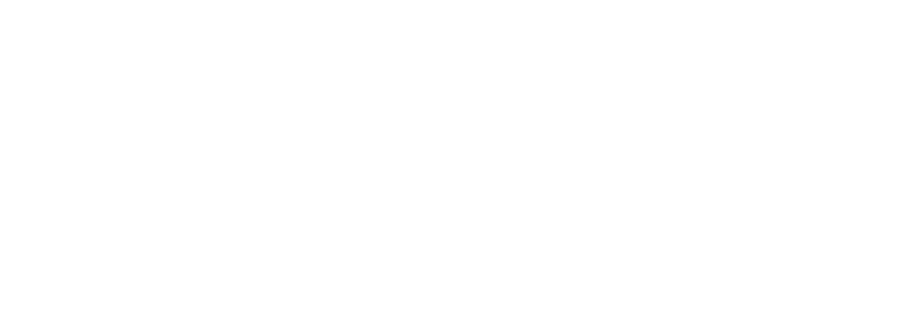 tammaelectric